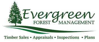 Evergreen Forest Management Logo